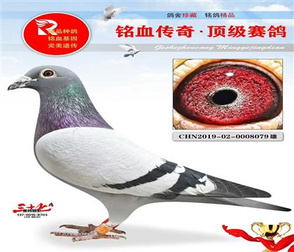 W(lin)(gu)HŝɛQِ49