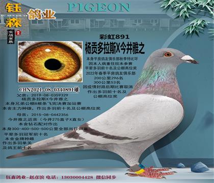 ƷN