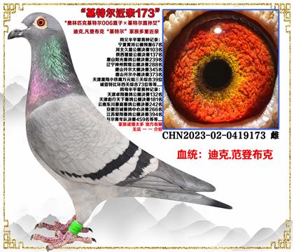 (c(din)]ǲˡؠ006ֱӡؠֱOŮѪ