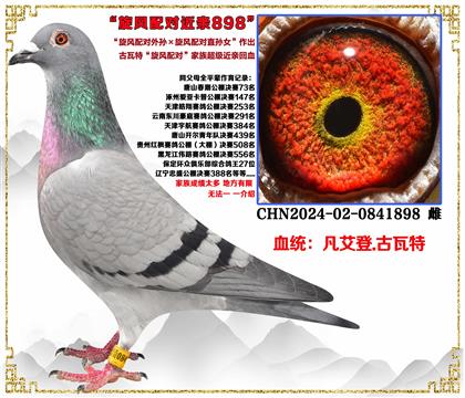 .ءL(fng)䌦(du)OL(fng)䌦(du)ֱOŮ(j)Ѫ