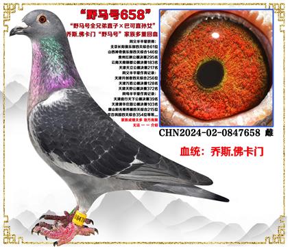 ˹.T(mn)ҰR̖(ho)ȫֱֵӡͿֱOŮ