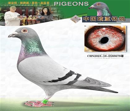 X614xɣʿ061S䌦