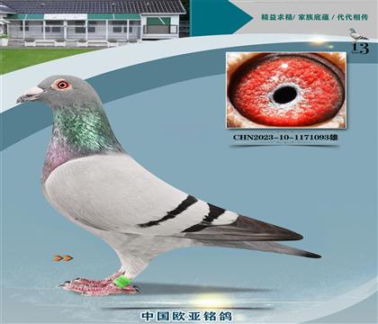wԭᳬ_ܚWֱ727xC̖127