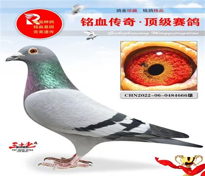 ҹұֱŮ