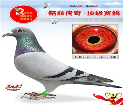 ҹұֱŮ