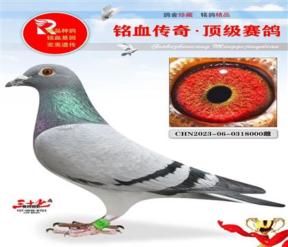 ҹұֱŮ