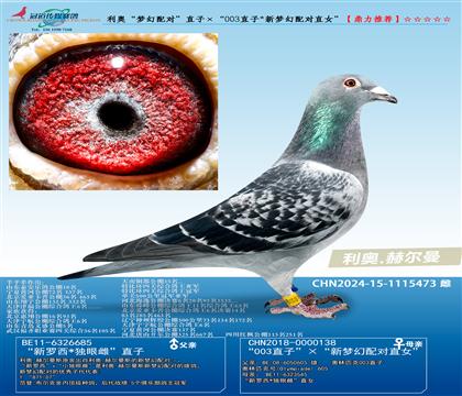 W䌦ֱӡ003ֱ/䌦ֱŮ