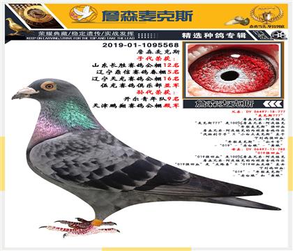 血統(tǒng):詹森麥克斯 雄