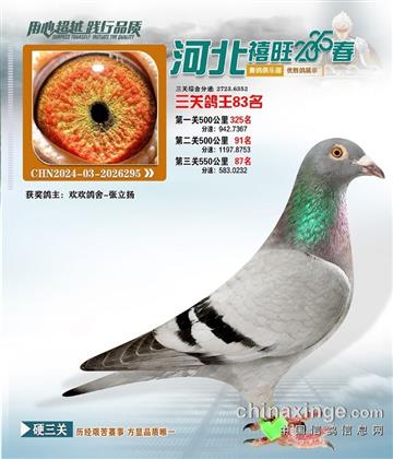 河北禧旺俱樂部83名