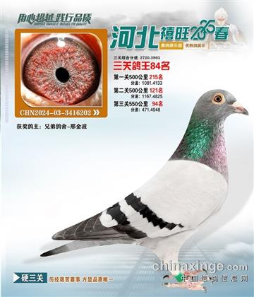 河北禧旺俱樂部84名