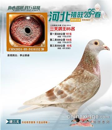 河北禧旺俱樂部85名