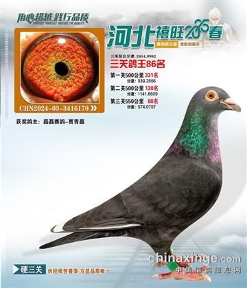 河北禧旺俱樂部86名