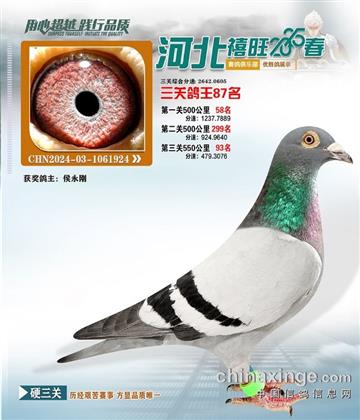 河北禧旺俱樂部87名