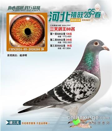 河北禧旺俱樂部88名