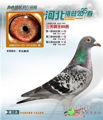 河北禧旺俱樂部89名