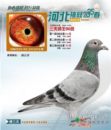 河北禧旺俱樂部90名