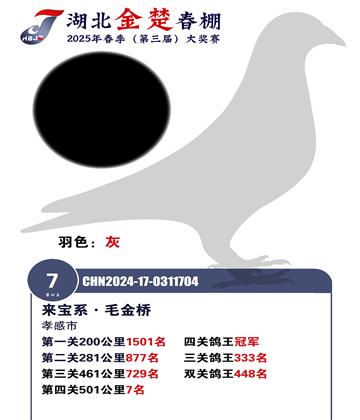金楚春棚加站賽7名