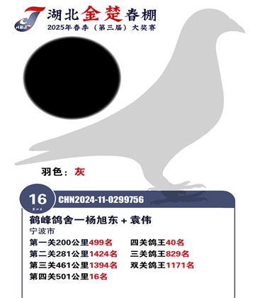金楚春棚加站賽16名