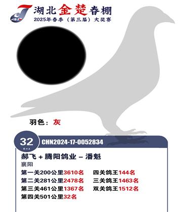 金楚春棚加站賽32名