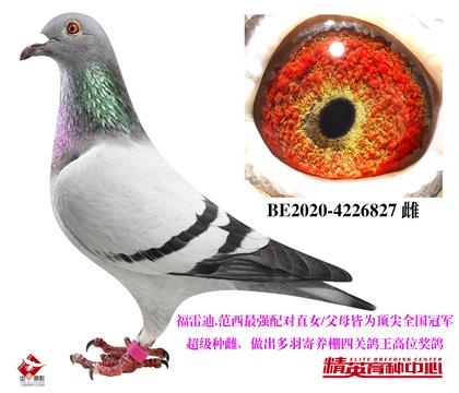 ׵.(qing)䌦ֱŮ