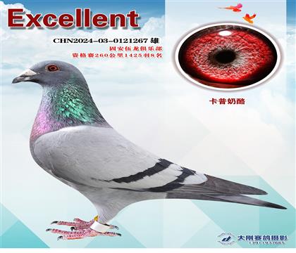 特比環(huán)資格賽前十