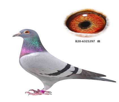 ©12