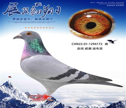 威廉迪布恩墨菲定律直女作出