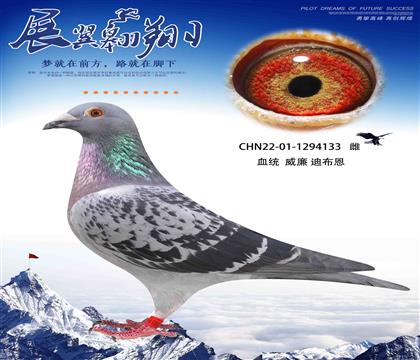 威廉迪布恩天王星直女作出