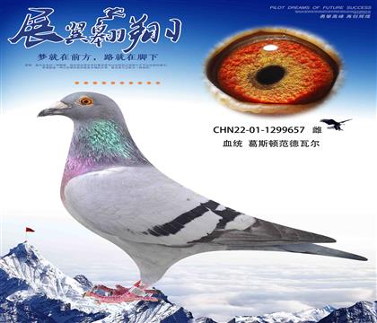 葛斯頓奶酪薪金姆近親回血657