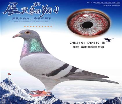 葛斯頓奶酪薪金姆子代獲得眾城公棚決賽89名