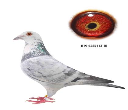 撿漏1