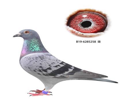 撿漏2