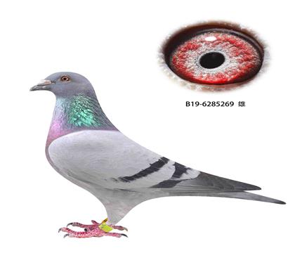 撿漏3