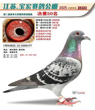 寶宏春棚決賽50名