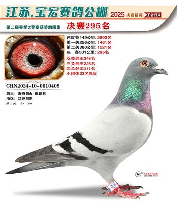 괺Qِ295