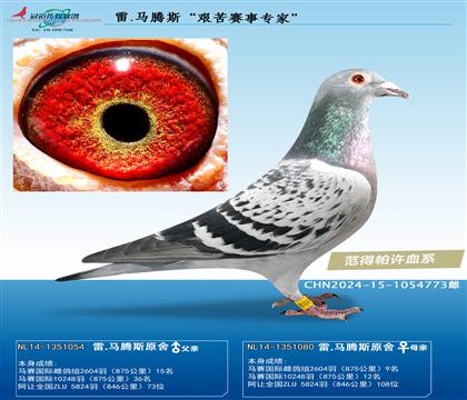 Dِ(zhun)ҡ.Rv˹