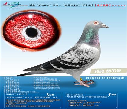 W(mng)䌦(du)HWƥ03HOŮ