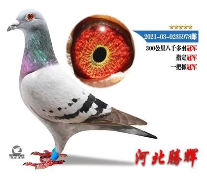 ܊