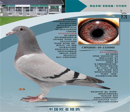 迪克凡戴克原舍111x611奧林匹克尼爾斯