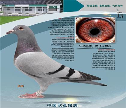 電腦x桑杰士天楠銅都大棚324名445全平輩