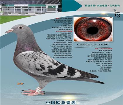 利奧原舍德克斯220x博爾特新羅西003