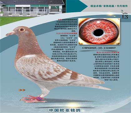 詹森131直子349x泰山號(hào)311黃金配對(duì)