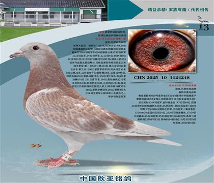 迪克凡登布克基特爾295x40000號(hào)394