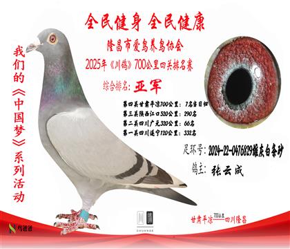 2名張?jiān)瞥?024-22-0476829雄灰白條砂2 拷貝