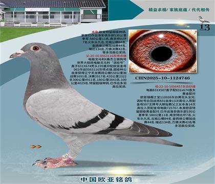 Xxɣʿ061ֱ116xX457