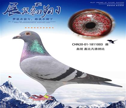 D(zhun)wwӴ@ʢQِ89