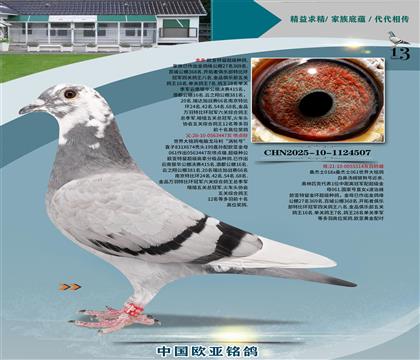 Xɣʿ061ֱ447xɣʿ314