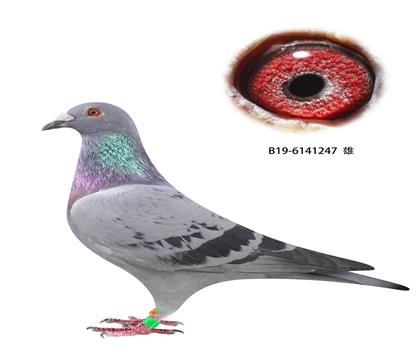 ©3