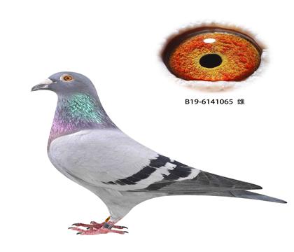 ©4