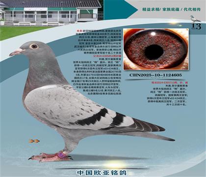 WԭᲨ5851xֱOŮ713